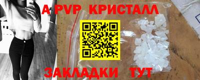 спиды Сланцы