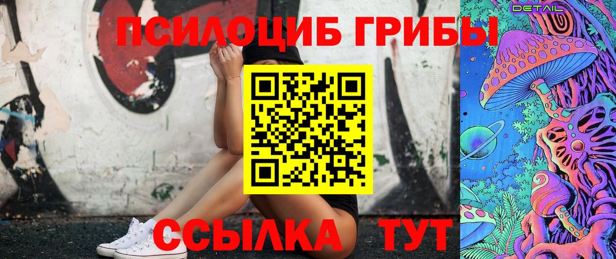 Новокубанск  Псилоцибиновые грибы Psilocybine cubensis  Вход с VPN 